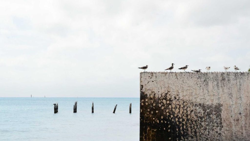 Provisioning utilisateurs en libre-service pour tous les tenants entreprise